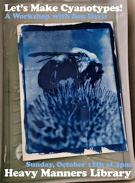 A Cyanotype print of a bee polinating a flower.